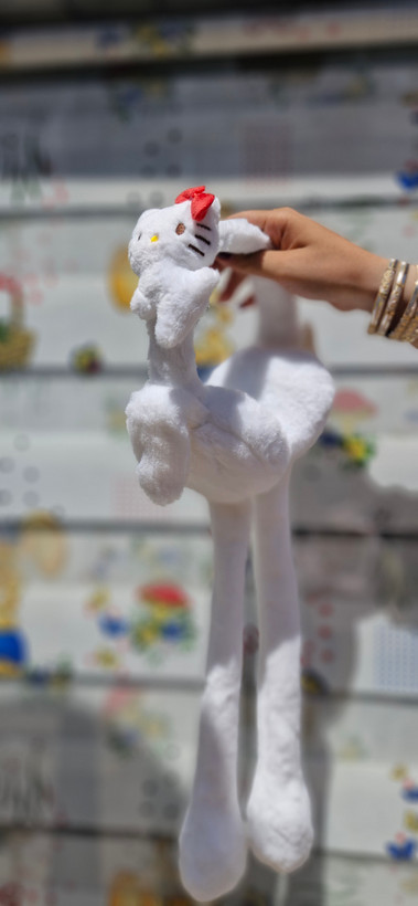 گوشبند پمپی کرومی و دوستان