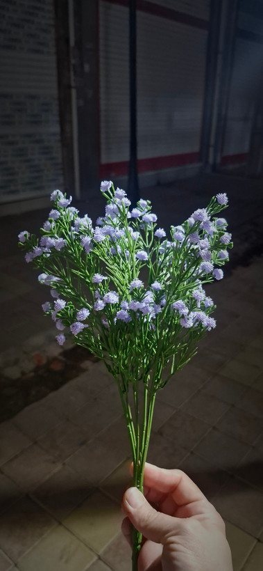 گل عروس ۳۵ و ۴۹ شاخه قد ۴۰ سانتیمتر