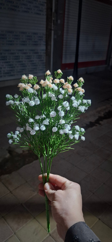 گل عروس ۳۵ و ۴۹ شاخه قد ۴۰ سانتیمتر