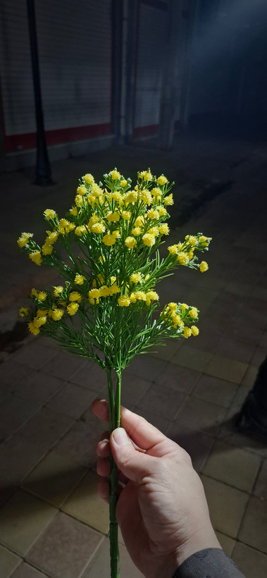 گل عروس ۳۵ و ۴۹ شاخه قد ۴۰ سانتیمتر
