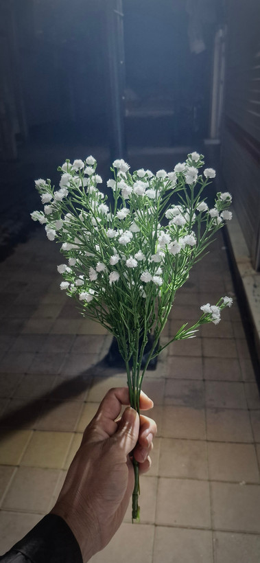گل عروس ۳۵ و ۴۹ شاخه قد ۴۰ سانتیمتر