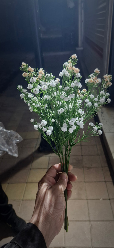 گل عروس ۳۵ و ۴۹ شاخه قد ۴۰ سانتیمتر